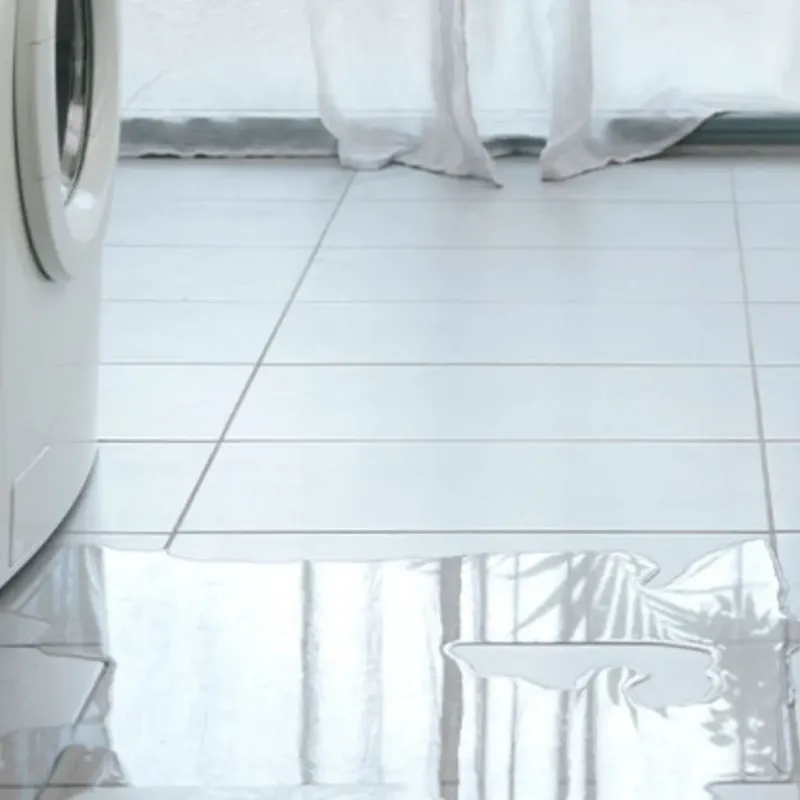 Appliance Leak Cleanup in South Lake Tahoe, CA