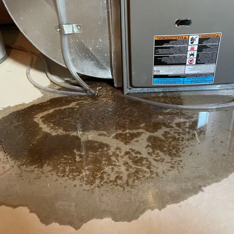 Pipe Burst and Leak Restoration in South Lake Tahoe, CA